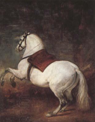 Diego Velazquez A White Horse (df01) China oil painting art